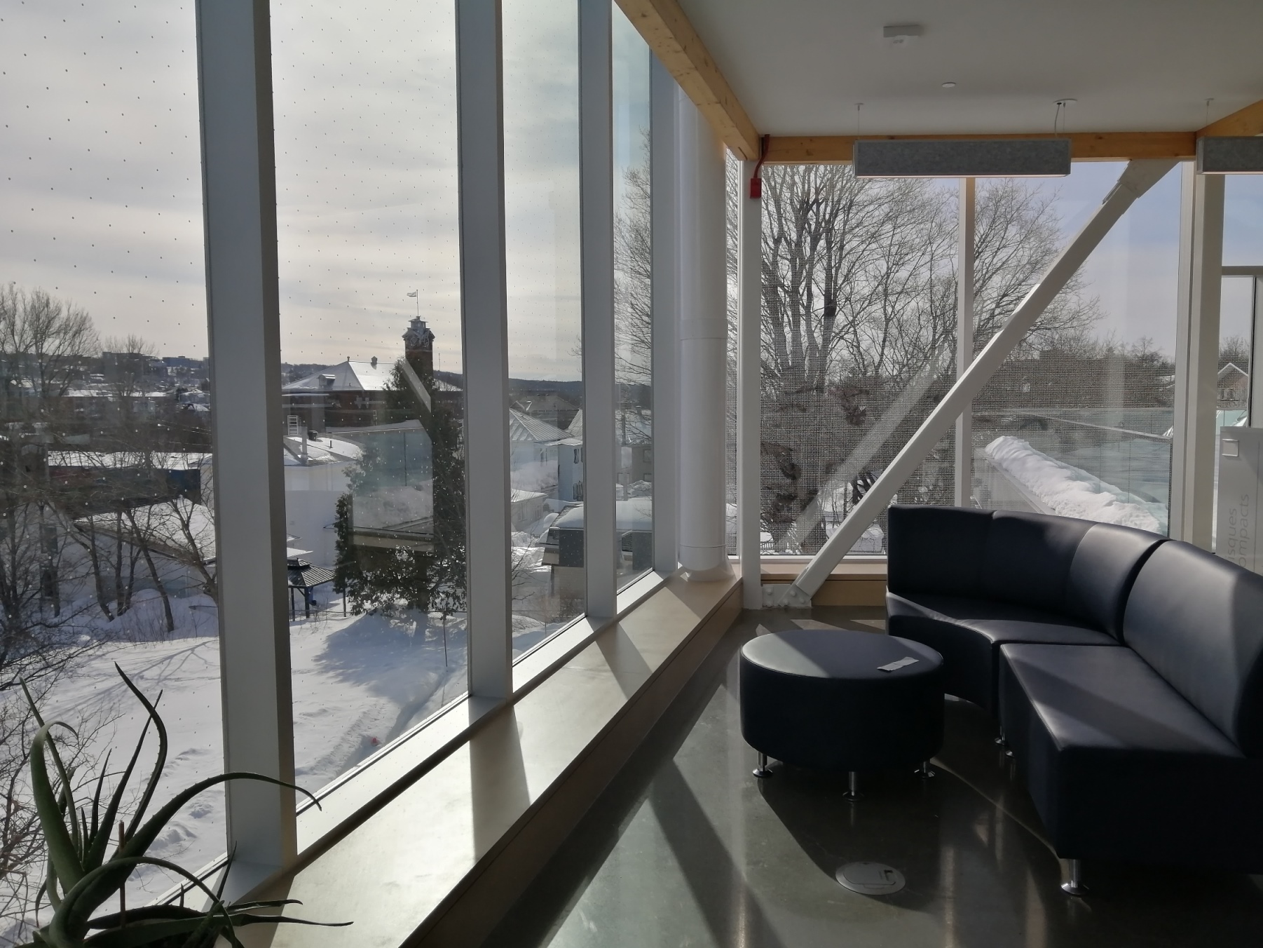 Joelle Rivard, Joe Rivard, Joelle Rivard auteure, Joelle Rivard autrice, autrice québécoise, auteure québécoise, auteure du bas-saint-laurent, auteure témiscouata, auteure Rivière-du-loup, culture témiscouata, culture Bas-Saint-Laurent, littérature de l'imaginaire, SFFQ, vie d'auteure