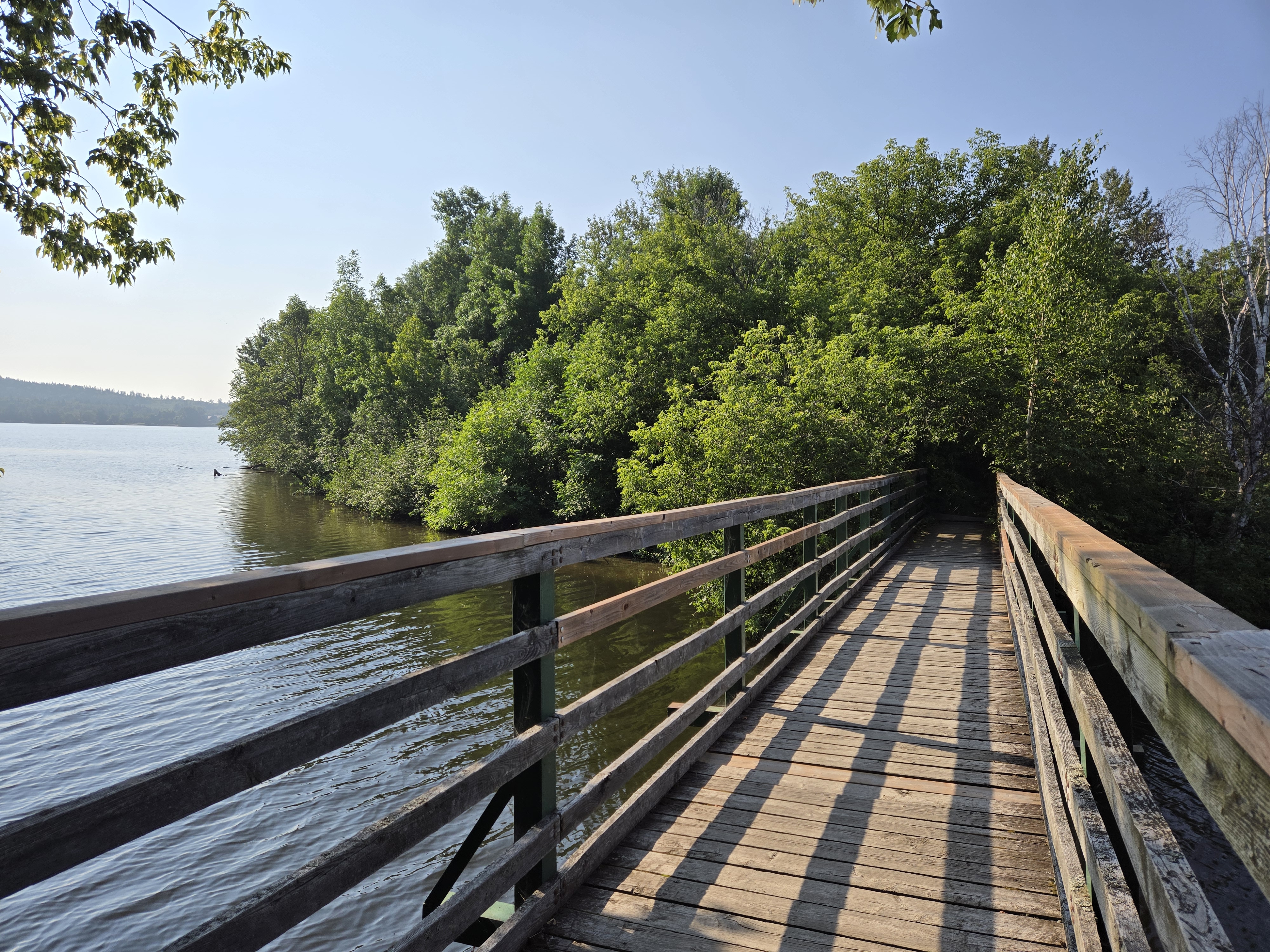 Un ancien pont piétonnier traverse la rivière Cabano et s'enfonce dans la forêt sur la rive opposée