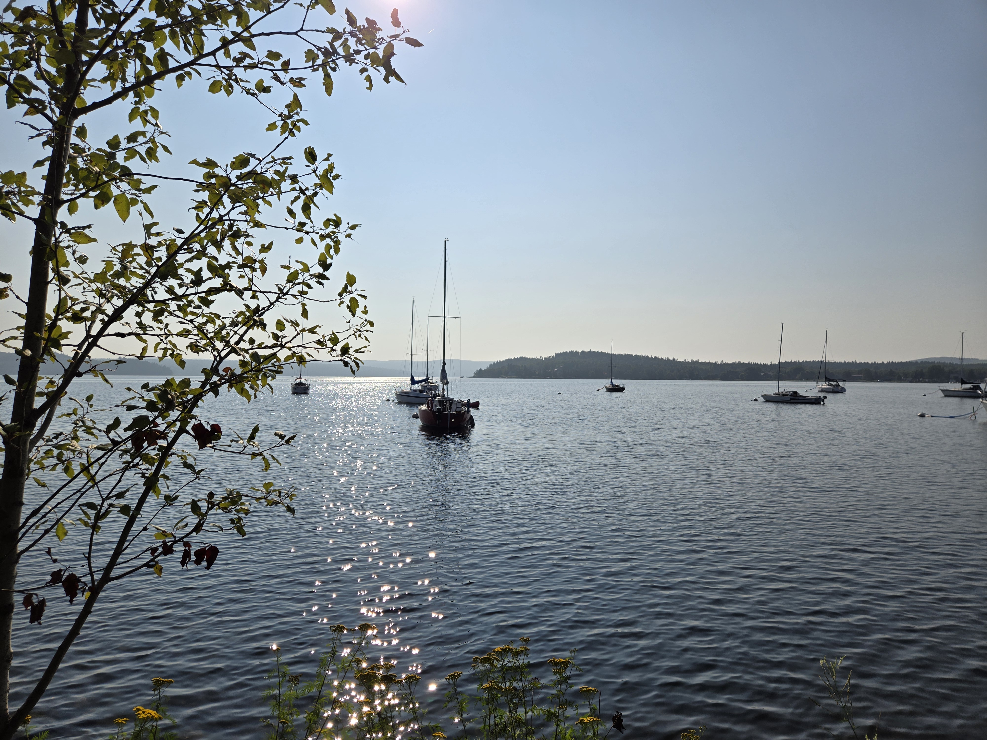 Plusieurs bateau à voile ont jeté l'ancre dans une baie du lac Témiscouata