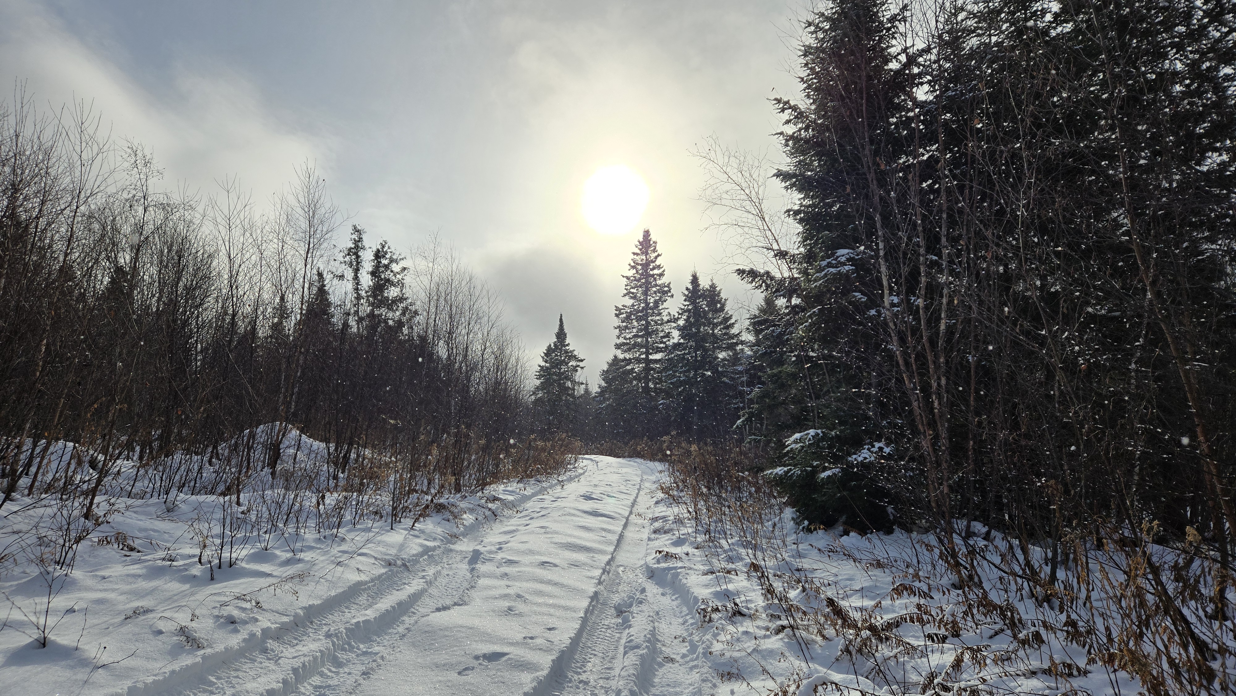 Sentier enneigé avec le soleil qui brille au-dessus des conifères