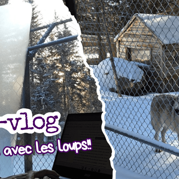 [Mini-vlog] Écrire avec les&nbsp;loups
