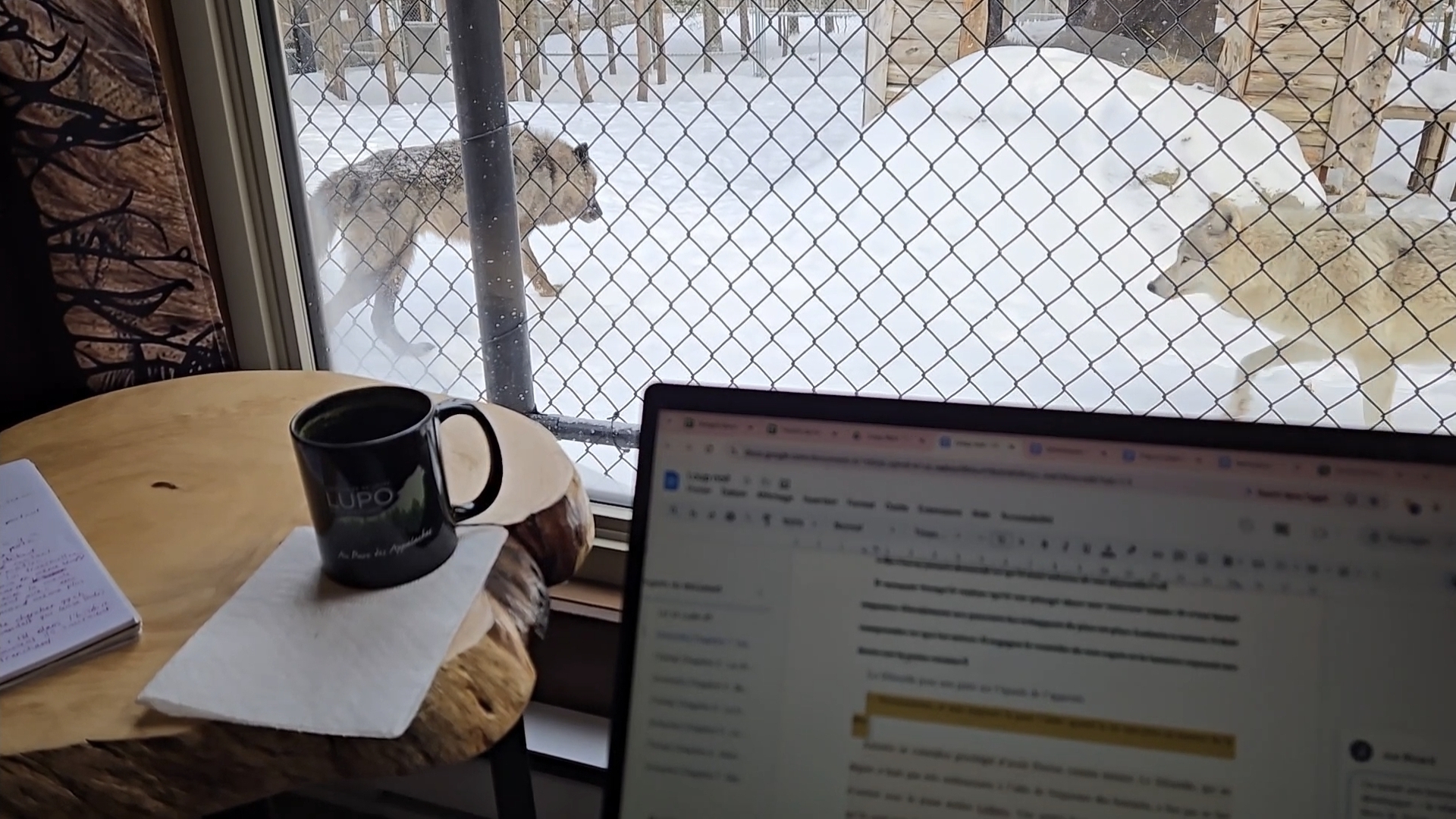 Écran d'ordinateur portable ouvert sur un document texte devant une fenêtre à travers laquelle on voit deux loups.
