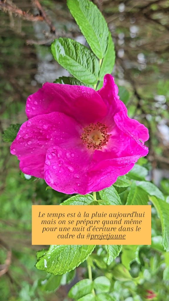 Nuit d'écriture 01