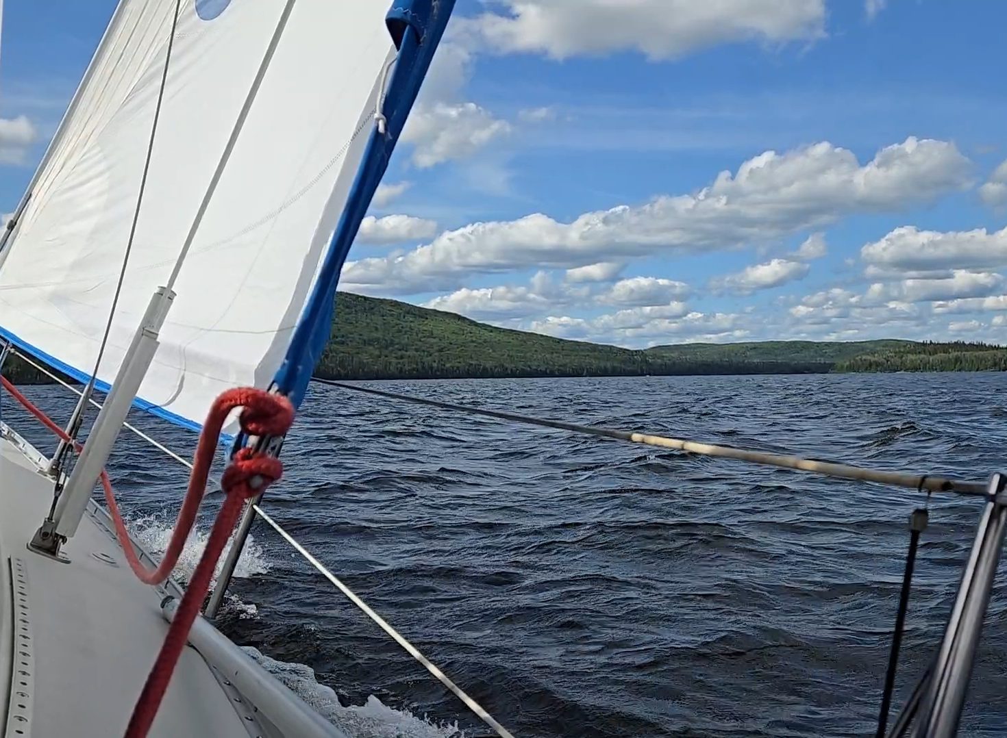 Une partie de la voilure d'un voilier qui penche vers la surface de l'eau agitée. Au loin, la forêt qui borde les rives sous un ciel bleu parsemé de cumulus blancs.